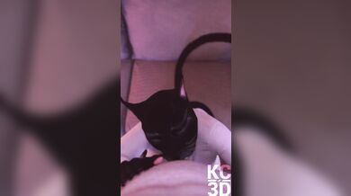 Hentai POV Kiss and Tits in Thailand