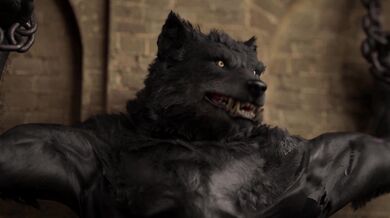 Sisters of the Sword: The Ultimate Nun Combat Collection