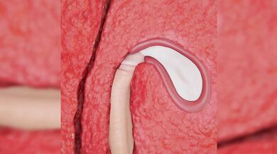 Yae and Miko - The Ultimate Compilation!