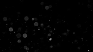 Tomb Raider: Broken and Bound, A Lara Croft PMV