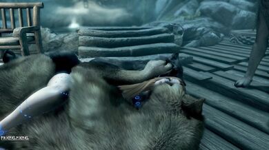 The Druidess and the Elysium Wolfpack: A Hentai Adventure