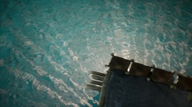 Beneath the Waves - A Wild Life Sex Odyssey