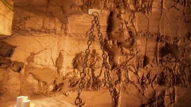 The Wild Tali Mating Season - Part 1