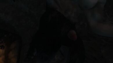 The Hole - The Adventures of Black