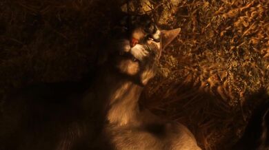 The Hole - The Adventures of Black