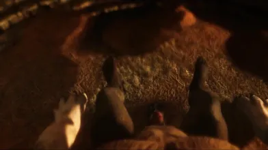 The Hole - The Adventures of Black