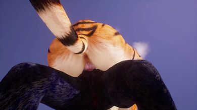 The lioness dominates the wolf in a fierce mating battle