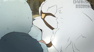 The Sexy Battle of the Bear and Fox