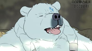 The Sexy Battle of the Bear and Fox