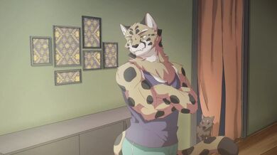 When you open the full video of a sexy cat sitting, you may find yourself in for more than just a surprise!