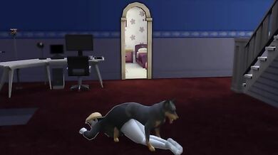 Making love with a big dick in the ass, an intense anal adventure