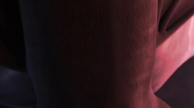 Lustful Librarians: A Dragon Breeding Adventure