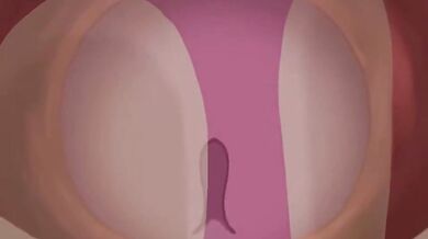 Cat and Bat [cat_n_bat] have a wild night of passionate fucking in the park after hours