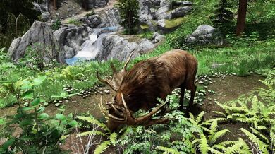 Rebecca, an Argonian huntress with a penchant for playing with her loyal dog, is caught by Lizard3469 during an erotic game of fetch