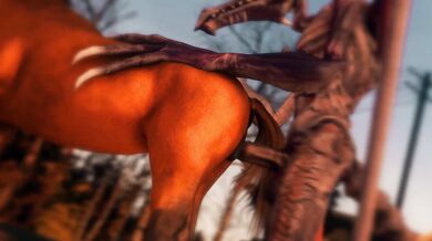 Horseback Riding with a Difference - Ridleys Wild Ride