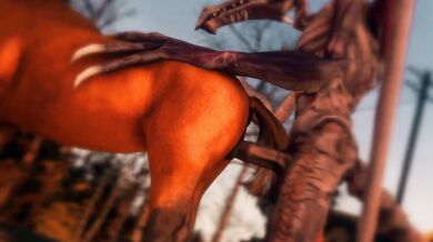 Horseback Riding with a Difference - Ridleys Wild Ride