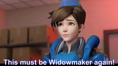 Widows failed mission