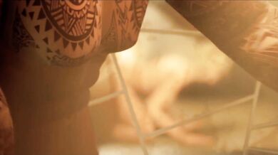 The Love Nest of Mauga and Mercy: An Exploration of ZMSFM Pleasure