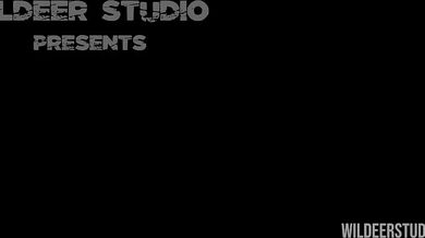 Lara in Trouble: X-Ray, an adult animated series by Wildeer Studio where the characters face unspeakable situations