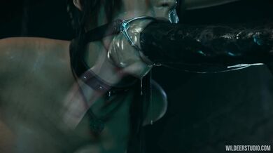 Lara in Trouble: X-Ray, an adult animated series by Wildeer Studio where the characters face unspeakable situations