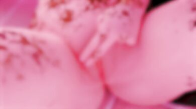 DVas Scatscapades 3: Date Night - Trailer