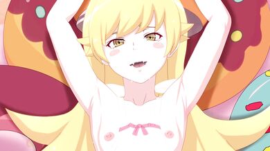 The Curse of Akinoya: Shinobu and the Tale of a Thousand Erogenous Zones