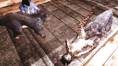 The Two Khajiits were in the Temple, when suddenly two ratfuckers barged in and began their sinful deeds