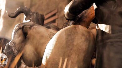 ----------------------