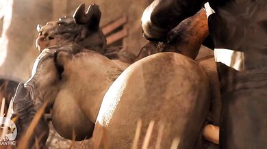 ----------------------