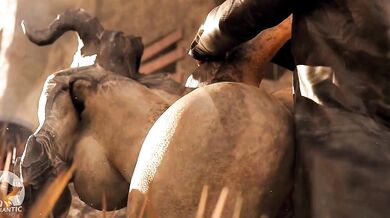 ----------------------