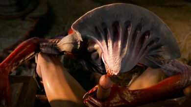 Welcome back, my old friend! Summon Blowjob!