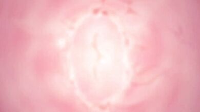 ``` Big Titted MILF Teacher Fucks Students in Classroom while her Hubby watches ```