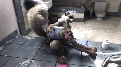 Rabbitgirl and her big black dildo, in 1080p HD