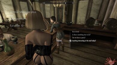 Mrs Johnsons Animal Mansion Plus Episode 10: The Curious Kitten and the Naughty Dog