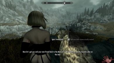 Mrs Johnsons Animal Mansion Plus Episode 10: The Curious Kitten and the Naughty Dog