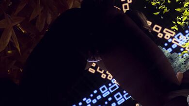 The Adorable Trio: Renamon, Guilmon and Mal0 go Furry Romantic