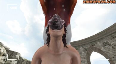 Bonus Lara and Horse: All the Way Through - Animopron