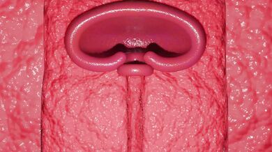 Watch Samus Aran ride the Dicesfm Cowboy-style in this hot hentai porn video!