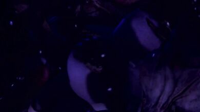 The Fertile Fields - Harvesting the Crop of Husk-Men