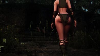 The Tale of the Trapped and Forcedly Fertilized Lady: A Longer Version