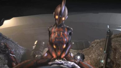 EMBER AND THE WARFRAME