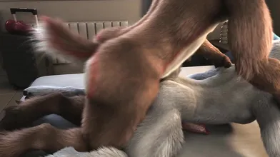 Skin on Skin: Lydia and Hershey [Horseplay]