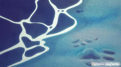 Watch two horny girls have a wild orgy on the beach at night in April!