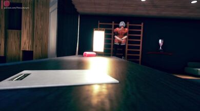 The Private Gym - Wall Bar Bouncing {LuckyLynx}