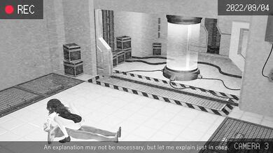 Bondage Femdom Voyeurism: The Art of Submission