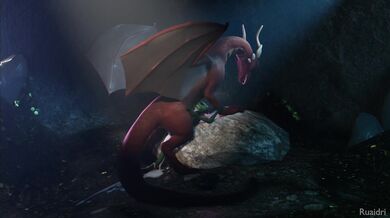 Bewitching the Dragons Hoard