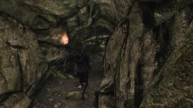 Satisfying the Argonians Horny Troll: Skyrim