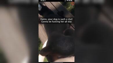 The dogsitter sent you a Snapchat, and it looked furry