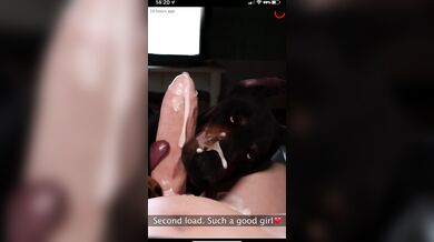 The dogsitter sent you a Snapchat, and it looked furry