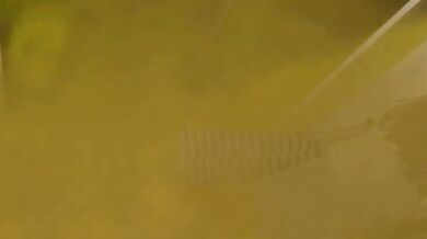 Joannes Big One - Chapter 1 - Excerpt 3 - ElSharkoDiablo